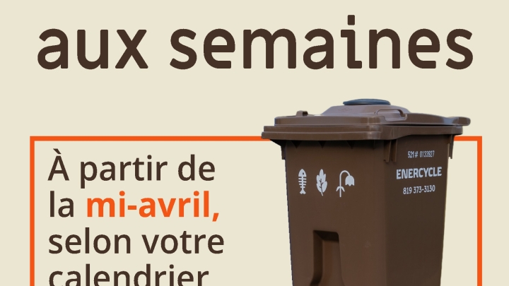 Collecte des bacs bruns