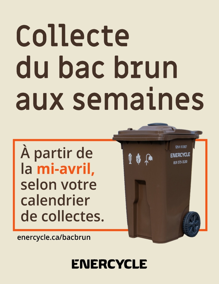 Collecte des bacs bruns