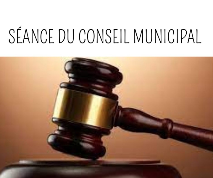Séance extraordinaire du conseil municipal